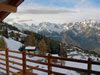 winter view
