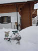 snowmen