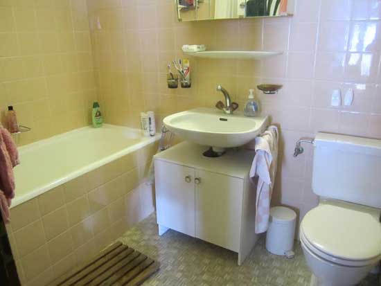 loo