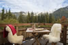 11. Champagne Terrace